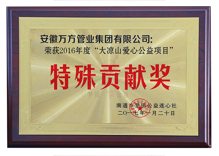 2016年度“大凉山爱心公益项目”特殊贡献奖